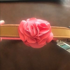Leather Dog Collar
